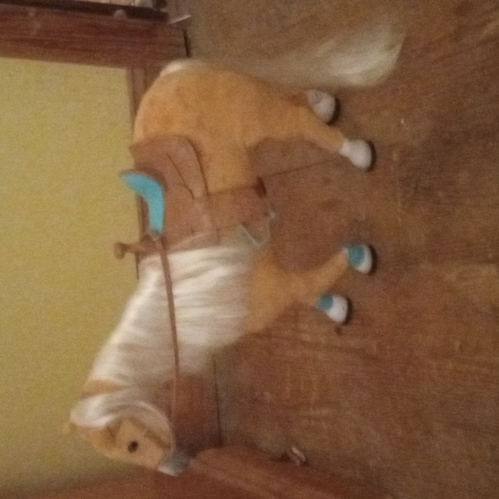 Toy horse 🐎
